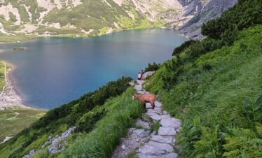 Tatra Poland in mountain huts
